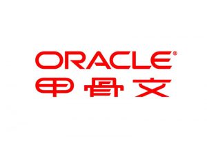 docker运行oracle xe 11g-JoyCode 斑马快跑