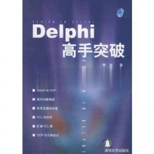 Delphi 高手突破-JoyCode 斑马快跑