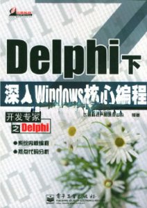 Delphi 下深入Windows核心编程-JoyCode 斑马快跑