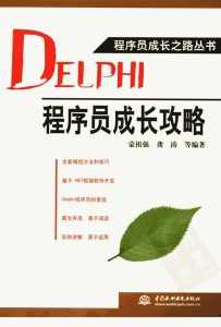 Delphi 程序员成长攻略-JoyCode 斑马快跑