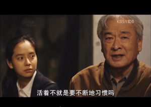 OpenCV教程-JoyCode 斑马快跑