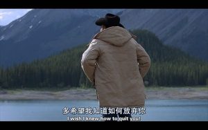 .NET的OpenCV库-JoyCode 斑马快跑