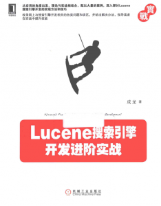 Lucene搜索引擎开发进阶实战-JoyCode 斑马快跑