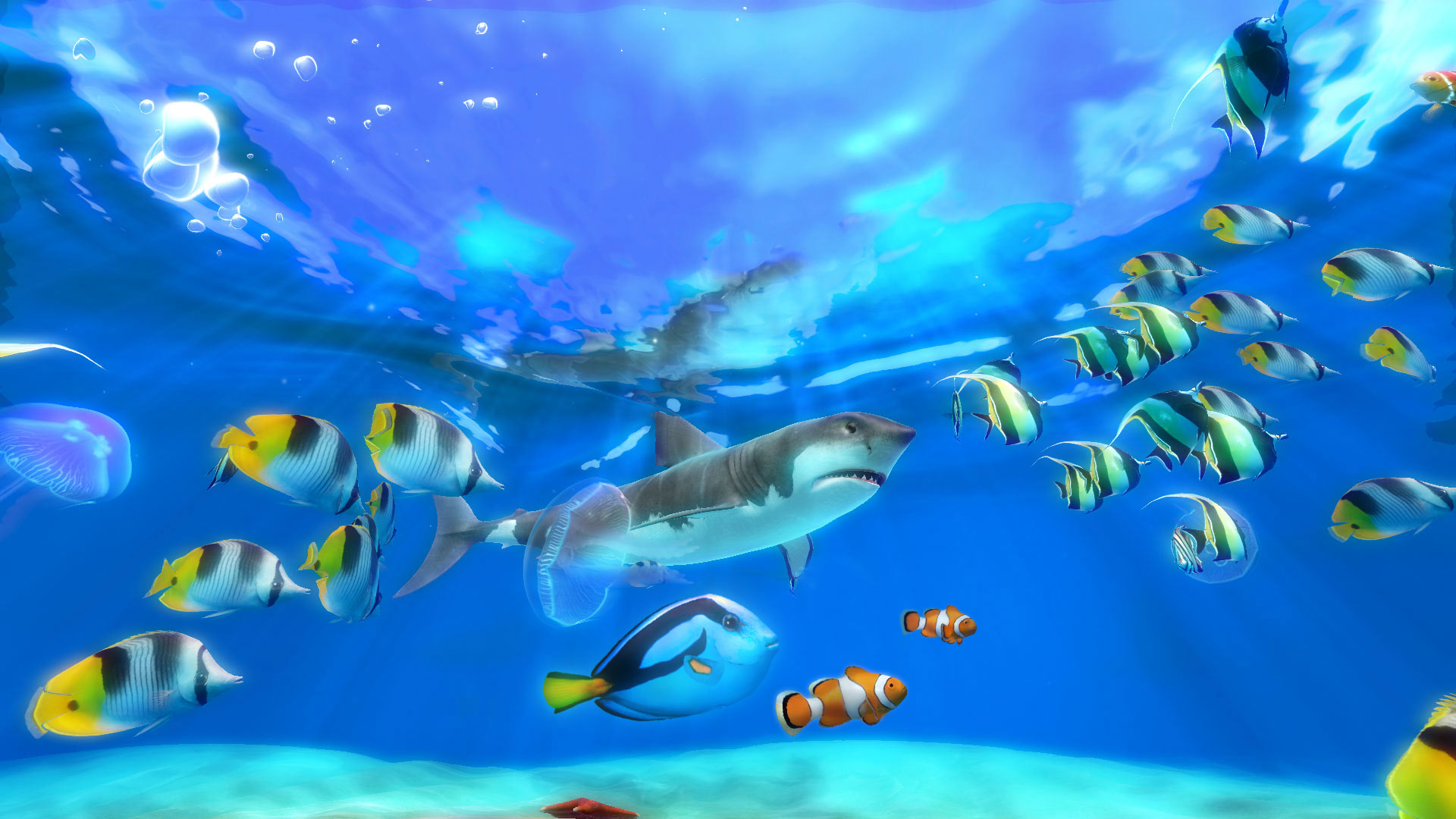 水族馆屏保Sim Aquarium 3和谐版