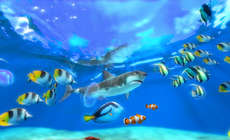 水族馆屏保Sim Aquarium 3和谐版