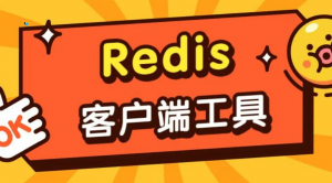 Redis图形客户端-JoyCode 斑马快跑