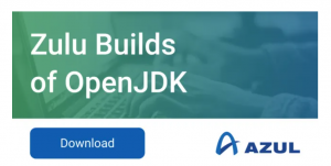 Zulu OpenJDK 下载-JoyCode 斑马快跑