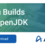 Zulu OpenJDK 下载