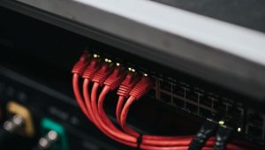 LwM2M协议-JoyCode 斑马快跑