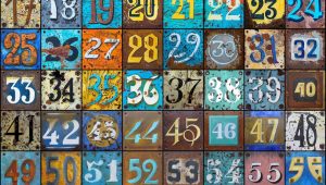 Windows命令行工具-JoyCode 斑马快跑