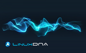 T400安装Linux Mint显卡驱动-JoyCode 斑马快跑