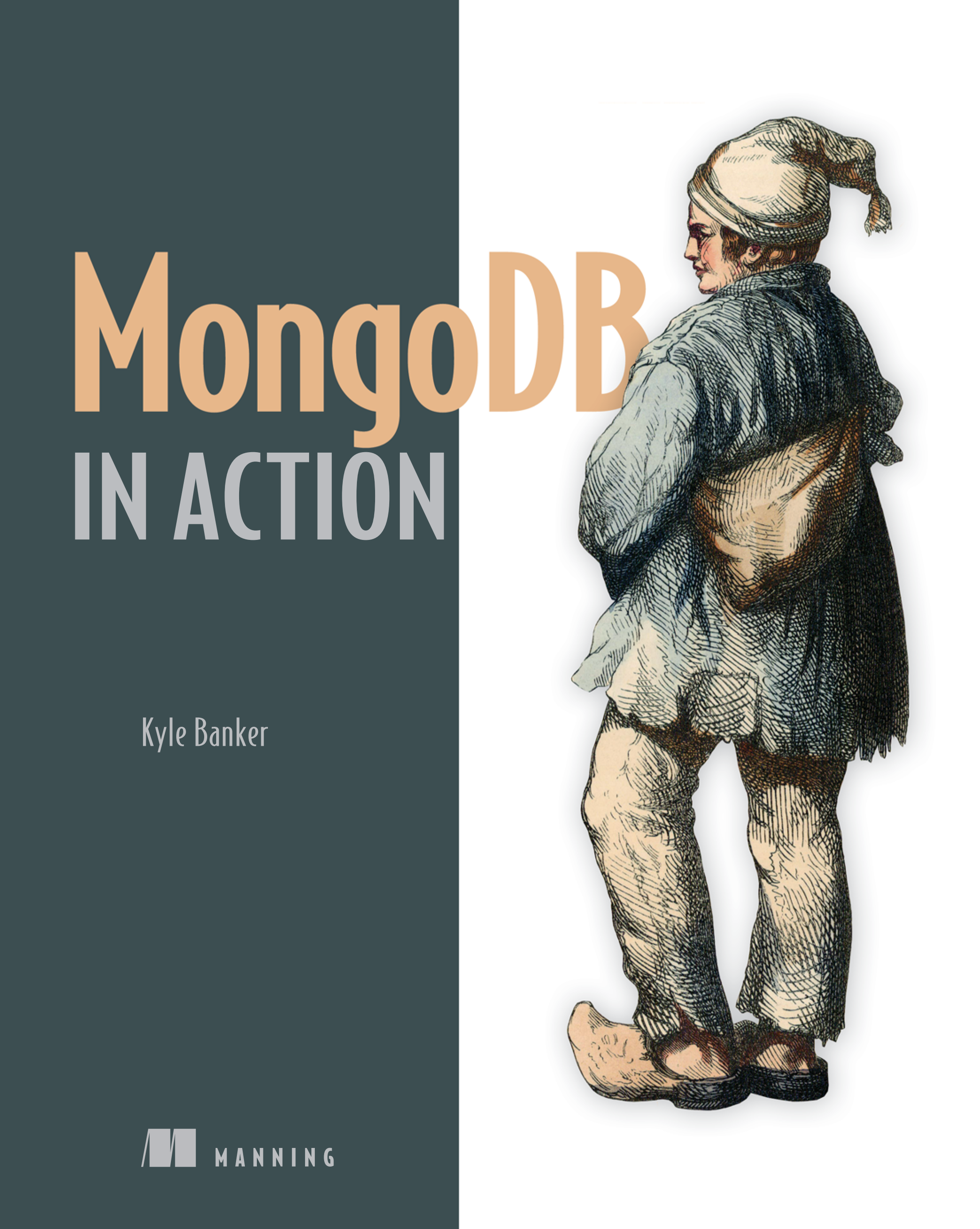 图片[1]-MongoDB IN ACTION-第五维