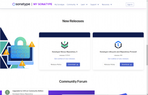 Windows安装Nexus私服-JoyCode 斑马快跑