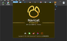 Navicat Premium 16.2.10 多连接数据库管理开发